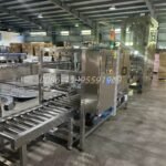 Automatic Carton Packing System